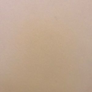 Meet your Posher, Ron